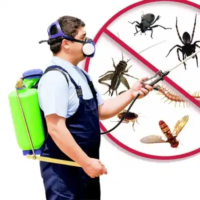 pest control Kenesaw